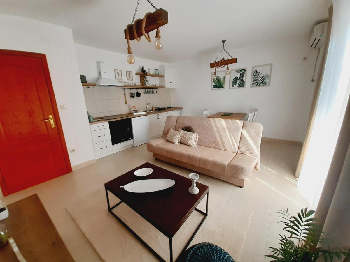 Apartment Macic Dub I كوتور المظهر الخارجي الصورة