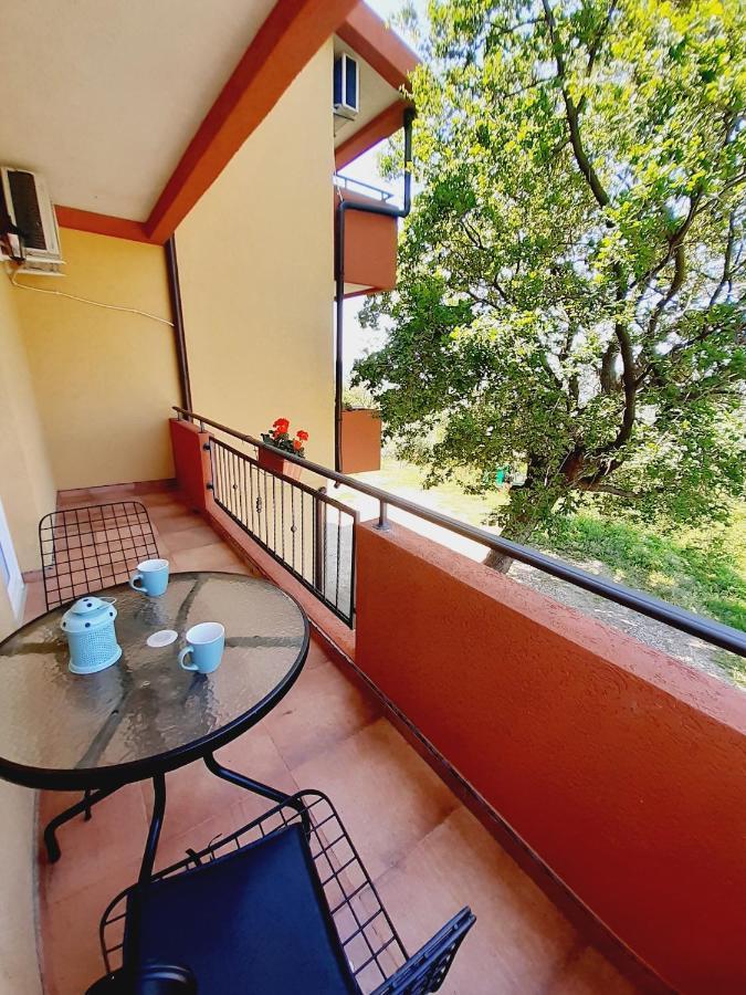 Apartment Macic Dub I كوتور المظهر الخارجي الصورة