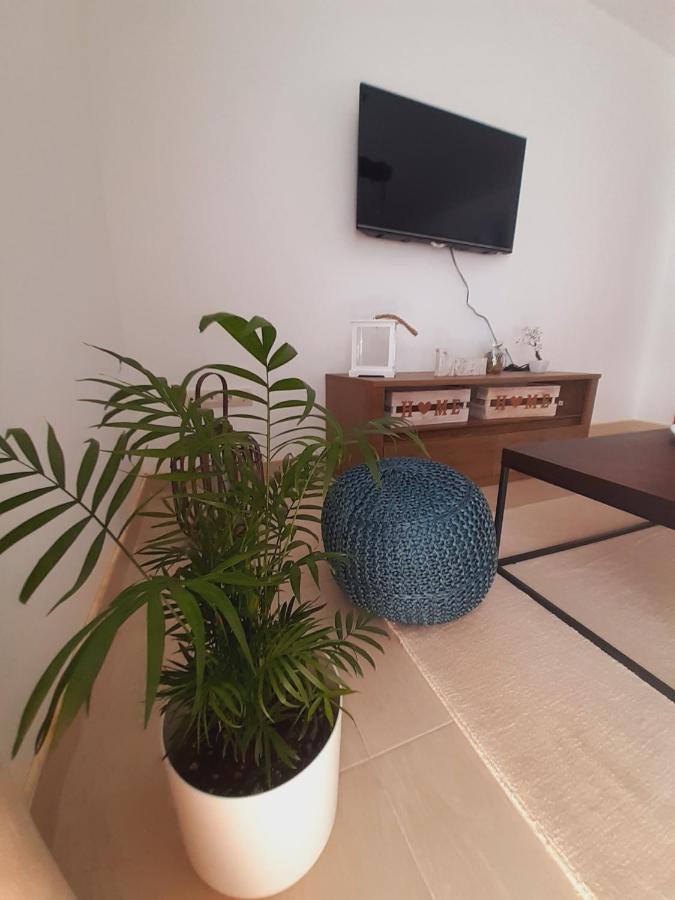 Apartment Macic Dub I كوتور المظهر الخارجي الصورة